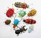 felted bugs.