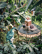 Top Creative Work On Behance : Showcase and discover creative work on the world's leading online platform for creative industries.