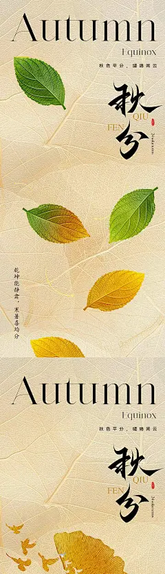 海报 二十四节气  秋分 美学  树叶   秋天 银杏叶 