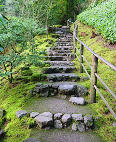 ~^o^~茳笾鳥采集到栈道