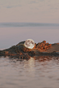 Moon Journey Across Landscapes  Behance (3)