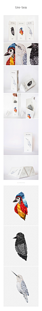 tre•tea Packaging by Alisa - UE设计平台-网页设计，设计交流，界面设计，酷站欣赏