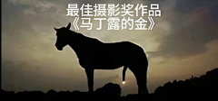 czb91720采集到杂图