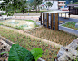 009-the Design of an Ecological Rainwater Garden in Lianma Village by Fu Yingbin