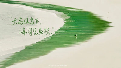 电脑壁纸-花瓣网