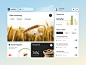UI for an Agriculture Startup ✦ Agronest