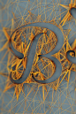 The Quick Brown Fox on Behance