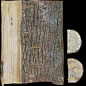 Log Pine, realnothing . : Base data acquired using photogrammetry : Nikon D5300 DSLR with Sigma 35mm f/1.4 DG HSM | Art lens shot 85 RAW images total at F8.0 aperture. 
Images then processed in Metashape and base 3D model was created. 
. 
Retopology in In