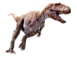 Dinosaur PNG