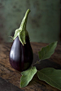 Eggplant