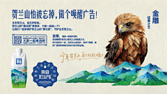 玩赖包子采集到GRAPHIC / 平面