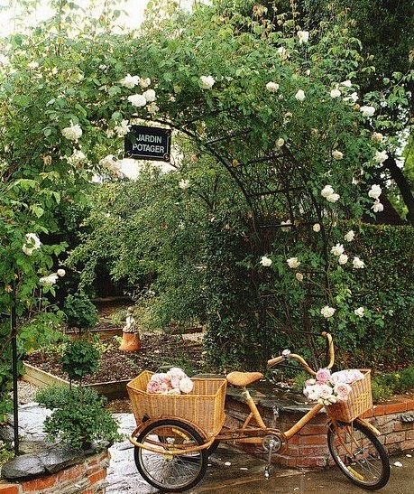 虽然花园是私人空间，但是不妨也设计的浪漫...