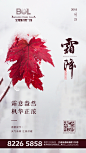 1022霜降飞机稿-01
