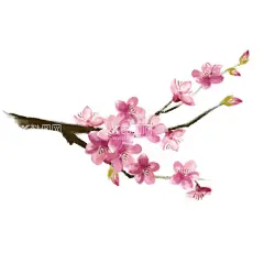 樱花素材  - 源文件下载【酷图网】樱花素材,粉色花朵,花朵素材,中式,中国风素材,樱花背景,樱花分层素材,樱花手绘素材,樱花插画素材,樱花插画,手绘樱花,