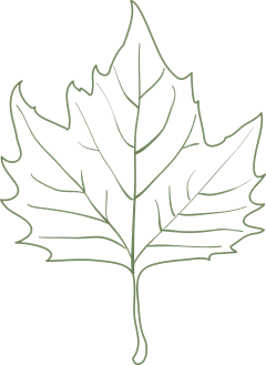 稻草人与乌鸦采集到矢量线条