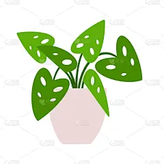 一种盆栽植物。平面手绘观叶植物现代办公室或家庭装饰插图。