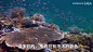 没看过海底世界，别说你来过青岛？青岛海底世界篇！_哔哩哔哩_bilibili