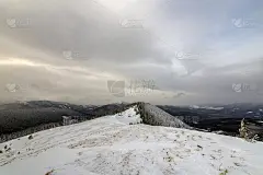 冬季的高山景观，雪峰和云杉在阴天的寒冷冬日。