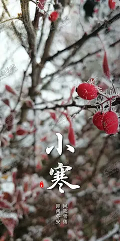 小寒 【酷图网】小寒,小寒节气,小寒海报,节气小寒,大寒海报,大寒,大寒广告,二十四节气,大寒贴片,大寒微信贴片,大寒宣传海报,大寒宣传画面,大寒宣传,大寒节气,大寒节日,高端节气稿,节气,大寒微信,大寒微信转发,大寒朋友圈,微信,大寒飞机稿,大寒微信稿,大寒地产稿,地产大寒,大寒素材