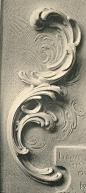 #绘画参考#“茛苕纹样”Acanthus（希腊语：Ακαν… - 半次元 - ACG爱好者社区