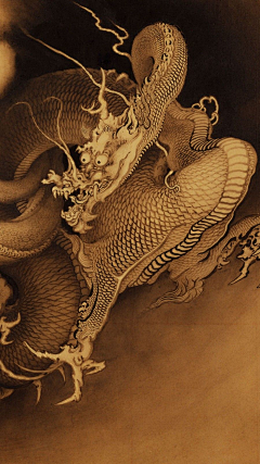 Cherisheachother12325采集到中医