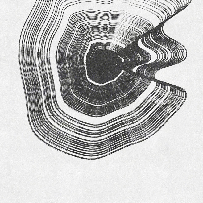 Name the Tree : The ...