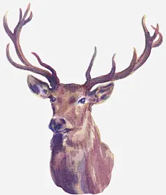 手绘的圣诞节鹿头高清素材 免抠图 动物 圣诞节 小鹿 效果图 装饰图 装饰画 鹿头 免抠png 设计图片 免费下载