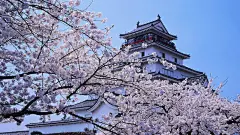 风景_高清风光_日本景色_日本风光_亚洲风光_樱花_桌面壁纸_爱壁纸HD