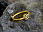 【定制】希腊设计师Kostas 蓝宝石18 22k黄金订结婚周年戒指 星空