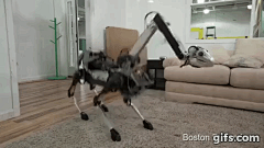 言浅233采集到Hominine robot(超级机器人)
