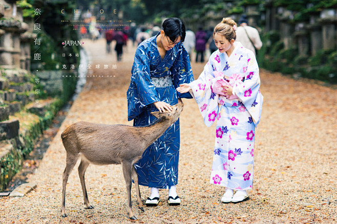 新信息】奈良有鹿等你来_日本婚纱摄影|日...