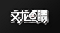 文龙点睛 军事题材 节目logo