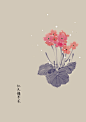 水彩 植物花卉 插画 artistic青尘/绘