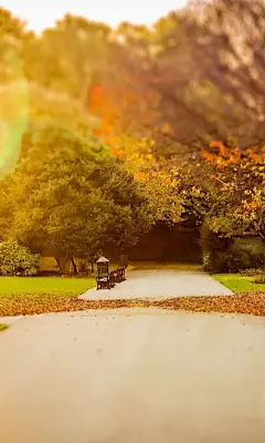 唯美高清风景图片480*800手机壁纸大全 | 风景 - 芒果唯美图片(mangowed.com)