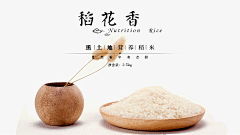 Whale\\Fall采集到平面