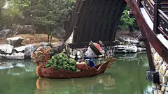 僵小鱼#小僵尸#小僵尸壁纸#端午节#粽子#
