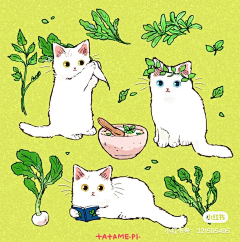 刃兔兔采集到猫
