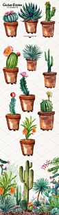 水彩仙人掌插画PNG免抠图+PSD源文件 Watercolor Cactuses - cts003-.jpg