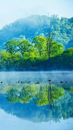 抬头望明月采集到我眼里的风景