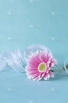 贺卡,清新,彩色背景,简单,非洲雏菊,杂色的,春天,背景,日本,礼物