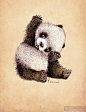 【可爱的钢笔画 ---- 熊猫】