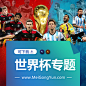 2018俄罗斯足球世界杯
