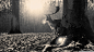 General 1366x768 nature water lilies forests vintage