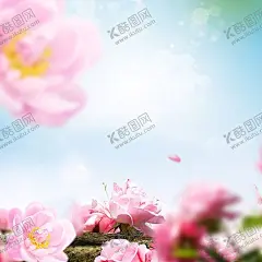 桃花背景 【酷图网】桃花背景,粉色背景,花露水背景,淘宝首图背景,首图背景,淡雅背景,桃花海报,海报背景,展板背景,桃花海报背景,桃花展板背景,花瓣,粉色,彩妆背景,彩妆展板,彩妆展板背景,花香