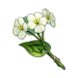 Luminescent Pollen : Luminescent Pollen is a Character and Weapon Enhancement Material dropped by Lv. 40+ Fungi. 14 Common Enemies drop Luminescent Pollen: There is 1 item that can be crafted using Luminescent Pollen: 6 Characters use Luminescent Pollen f