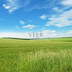 春天的草地和蓝天插画图片素材