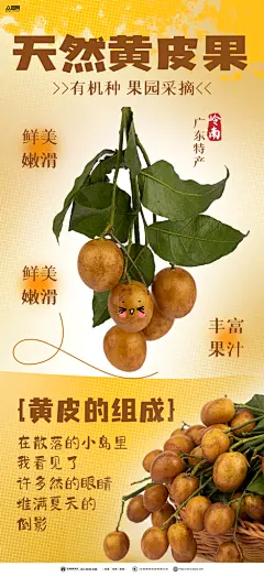 时尚大气的黄皮果水果海报