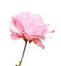 d66f963eab37312bd525ea7b064ccace