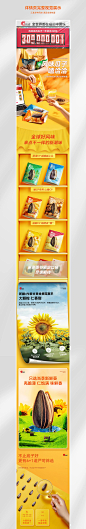 洽恰2