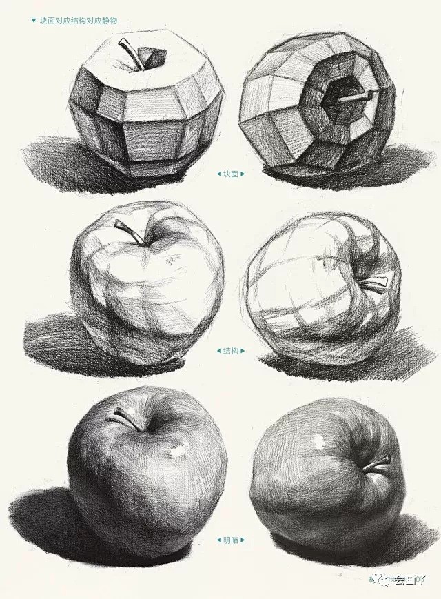 2018基础教学完美教程素描静物 敲门砖...